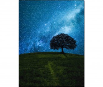Картина "Зоряне небо"
