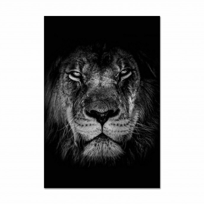 Картина "Lion"