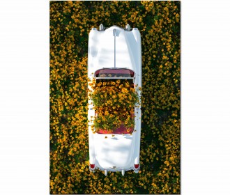 Картина "Cadillac in Flowers"