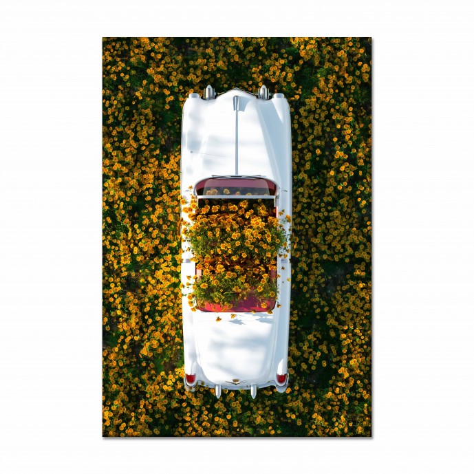 Картина "Cadillac in Flowers"