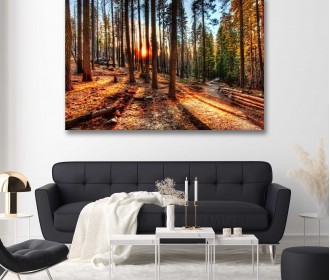 Картина "Захід сонця в лісі"