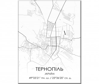 Картина "Мапа Тернопіль біла"
