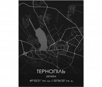 Картина "Мапа Тернопіль чорна"