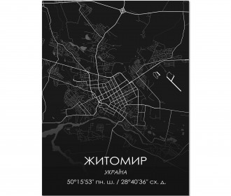 Картина "Мапа Житомир чорна"